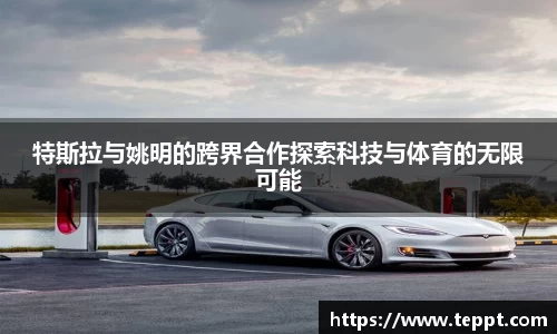 mk体育(MKsports集团)股份公司