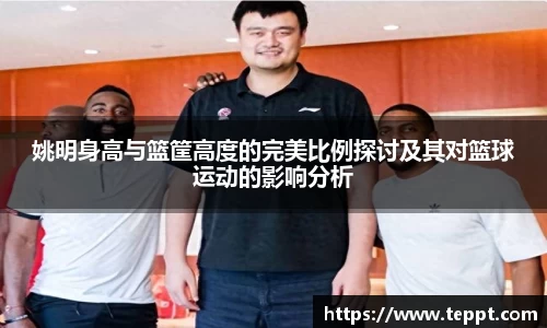 mk体育官网登录平台